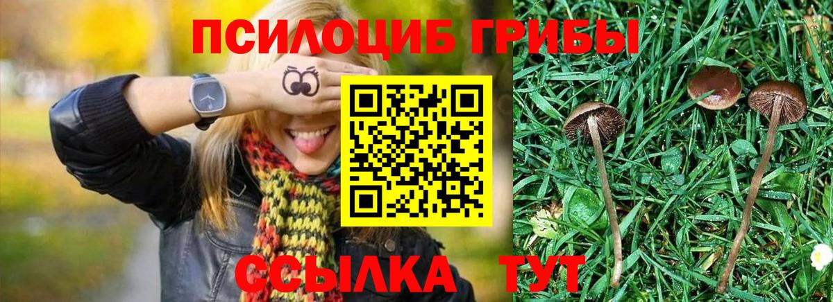 Галлюциногенные грибы ЛСД Трёхгорный