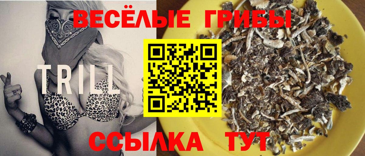 Галлюциногенные грибы MAGIC MUSHROOMS  Псилоцибиновые грибы мицелий  Вход с VPN  Трёхгорный 